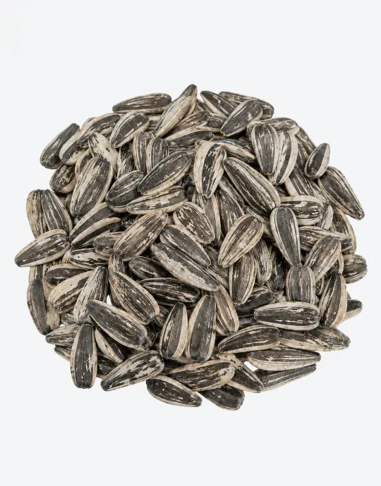 Salted sunflower seeds available online in Pakistan
