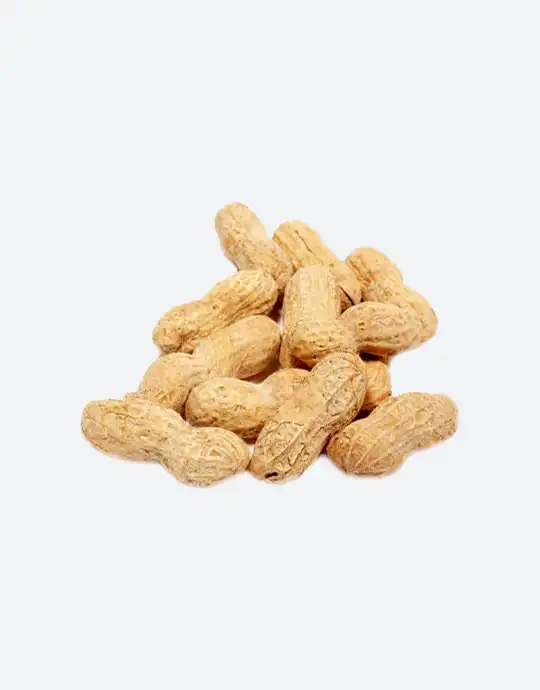 Roasted Parachinar Peanut (Mong Phali) with Shell